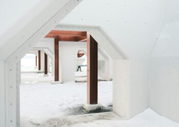 The Architect of Your Shelter: A Personal Journey Through the World of Life Insurance