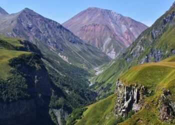 The Two Shields of Georgia: A Personal Journey Through the Insurance Laws Every Resident and Employer Must Know