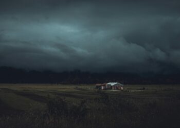 The Insurer’s Prerogative: A Comprehensive Analysis of When and Why a Claim Can Be Denied