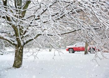 The $20,000 Mistake I Almost Made: My Terrifying, Enlightening Journey Through Rental Truck Insurance