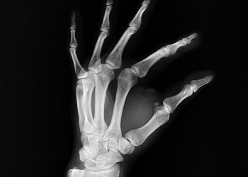 The Paper Shield: A Doctor’s Journey Through the Perilous World of Malpractice Insurance