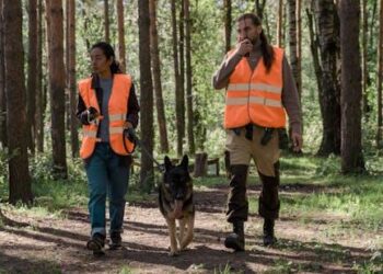 Beyond the Shield: Why Your Nonprofit’s D&O Insurance Isn’t Just a Policy—It’s Your Mission’s Foundation