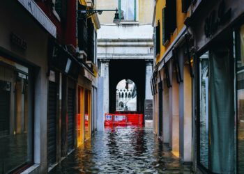 The Fortress and the Flood: My Journey to Finally Understanding Office Insurance