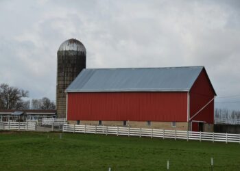 Beyond the Barn Fire: Why Your Farm’s Data Is the Most Important Asset You’re Not Insuring