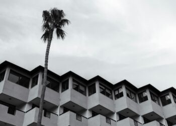 An In-Depth Analysis of Progressive Insurance in the San Diego Market