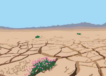 The Uninsurable Restaurant: How I Learned to Stop Paying for Risk and Start Engineering Resilience