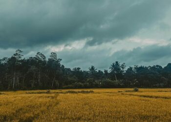 Beyond the Policy: Why Your Farm Vehicle Insurance Is a Ticking Time Bomb and How to Defuse It by Treating Your Farm as an Ecosystem