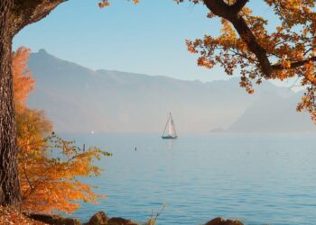 Beyond the Template: How to Win Your Insurance Appeal by Building an Unshakeable Case