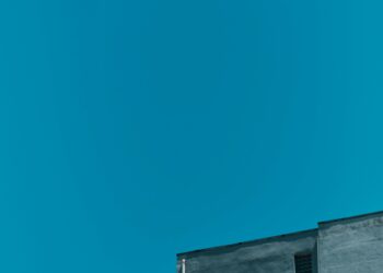 An In-Depth Analysis of Profitability in the Global Insurance Industry