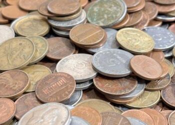 The Financial Permaculture Garden: Why I Stopped Buying Complicated Products and Started Cultivating Real Wealth