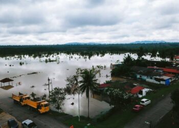 The Mississippi Flood Insurance Bible: A Definitive Guide to Navigating Risk, Rates, and Recovery