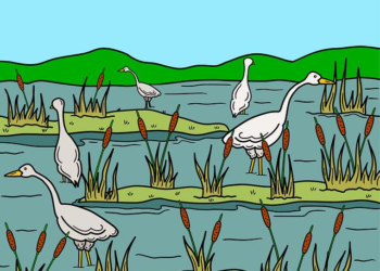 Beyond the Fine Print: Why Your Insurance Policy Isn’t a Document—It’s an Ecosystem