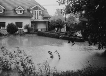 The Deluge and the Lifeline: Navigating the New World of Private Commercial Flood Insurance