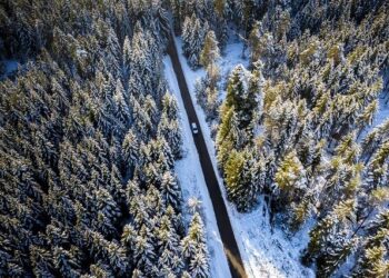 Are Drive and Progressive the Same? An Insider’s 15-Year Journey to Unraveling the Insurance Industry’s Biggest Secret.