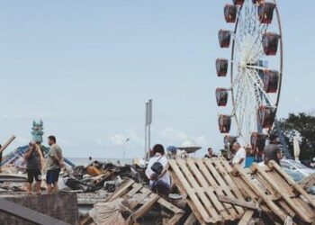 The Second Flood: A Survivor’s Guide to Navigating the Insurance Claim