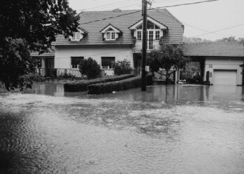 The Connecticut Flood Insurance Playbook: A Personal Journey Through Risk, Ruin, and Resilience