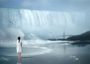 Beyond the Waterline: A New Yorker’s Guide to Navigating the Broken World of Flood Insurance and Building True Resilience