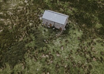 The House Always Wins: An Insider’s Guide to Fighting and Winning Your Florida Home Insurance Claim