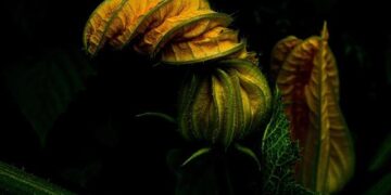 Navigating the Labyrinth: A Comprehensive Analysis of Doctor Visit Costs Before Your Deductible